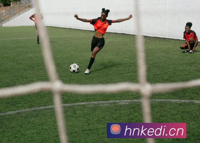 九游网页版直接进入官网平台生态图